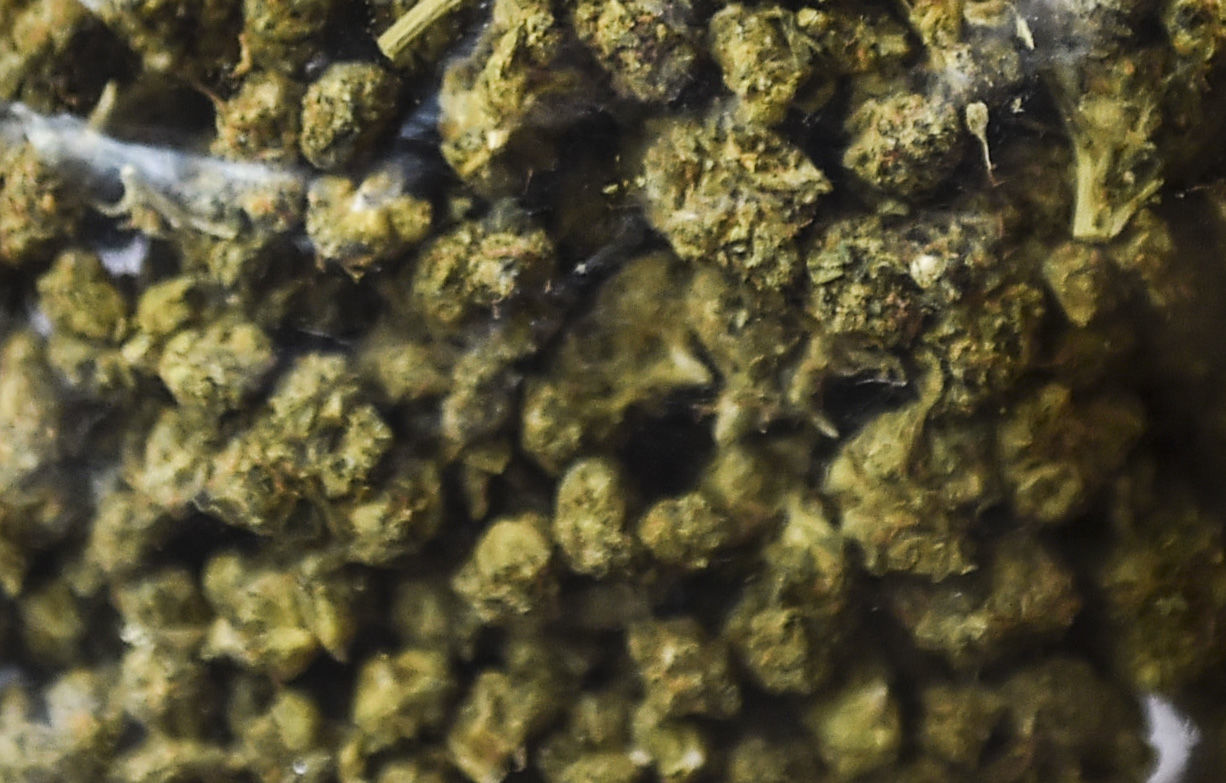 063019-qct-qca-marijuana-6.jpg
